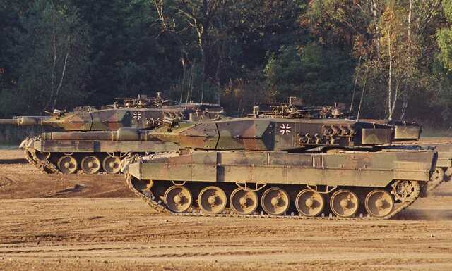      "Leopard 25"